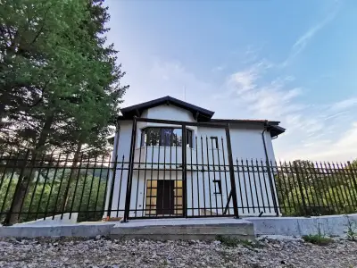 При Дядо Митко