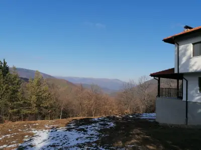 При Дядо Митко