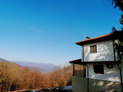 При Дядо Митко