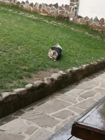 Къща за гости Диляна