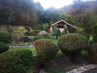 Guest House Robin Hud