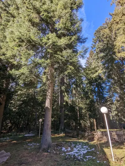 Persey Villa Borovets
