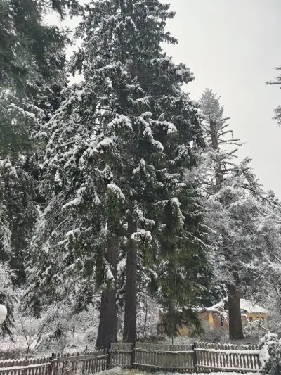 Persey Villa Borovets