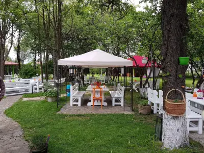 Черната котка