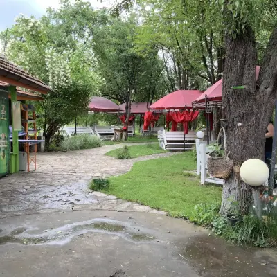Черната котка