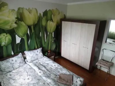 Tulips - guest room close to the Airport, free street parking