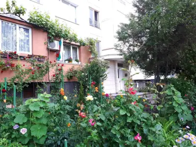 Tulips - guest room close to the Airport, free street parking