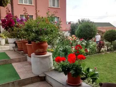 Family Hotel Zdravets