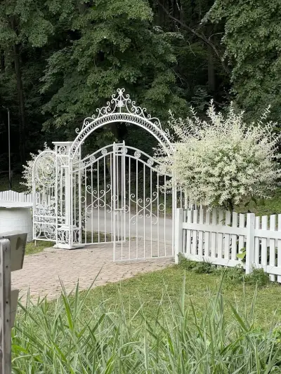Комплекс Липите