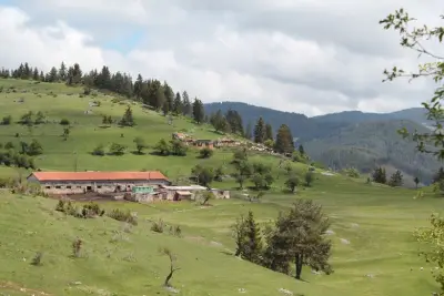 Eco Farm Gela & hotel Aida