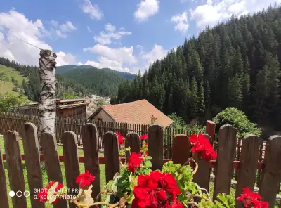 Влъхвис хаус