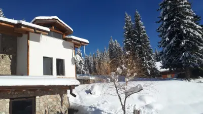 Комплекс Борики
