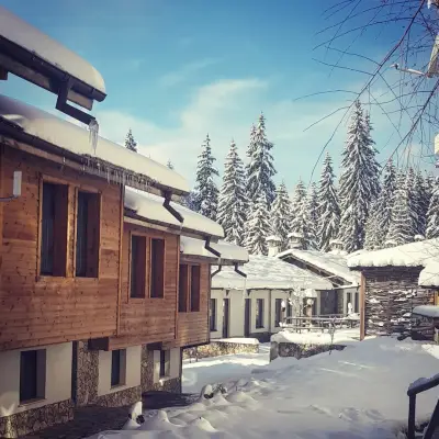 Комплекс Борики