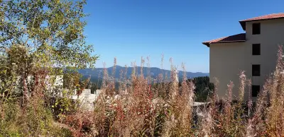 Boutique Villas Murgavets Pamporovo