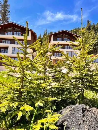 Boutique Villas Murgavets Pamporovo
