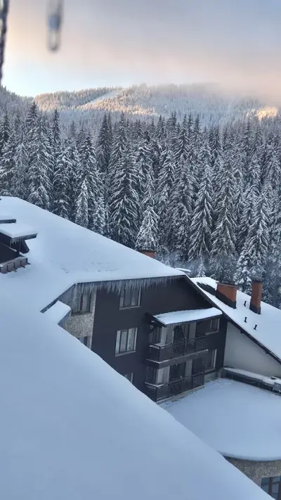 Стрийм Ризорт