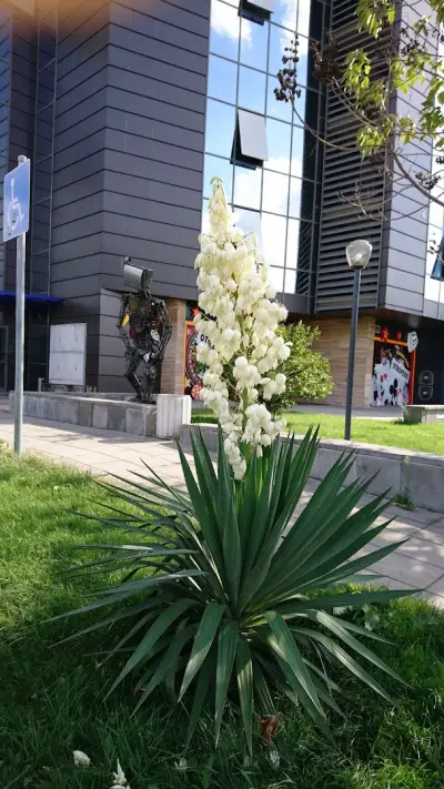 Нощувки в Пловдив ж.к. Тракия - Teis Apartments Trakia