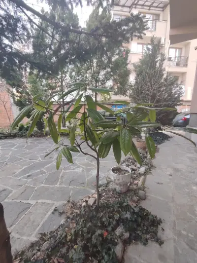 Trakia Street Apartment