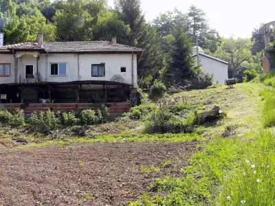 Dimi's Farm