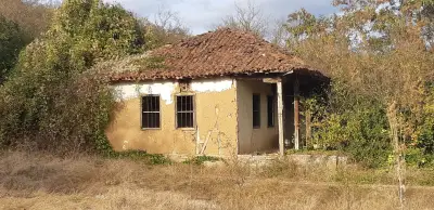 Dimi's Farm
