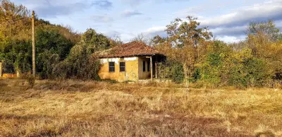 Dimi's Farm