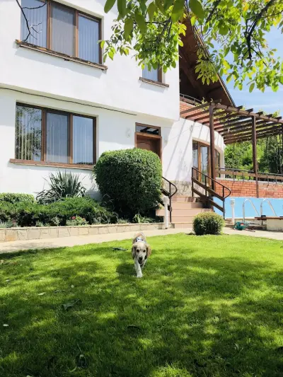 House Mirlevi