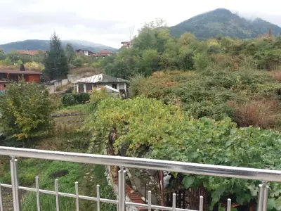 Guest house Tedi
