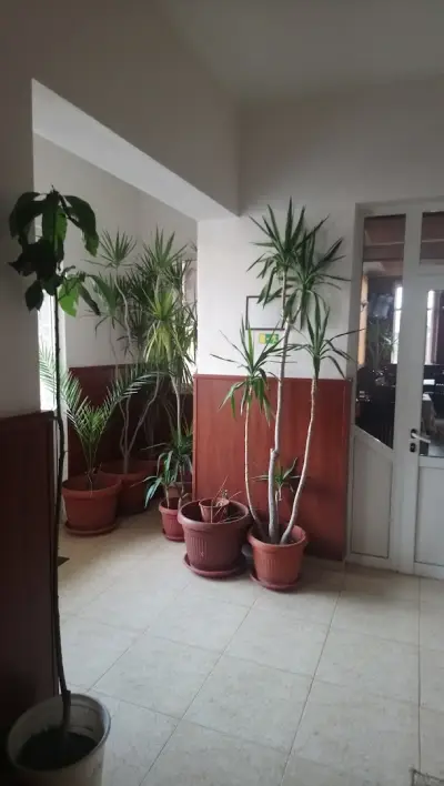 Hotel Kibor
