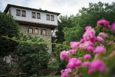 Guest House Vesko & Suzi