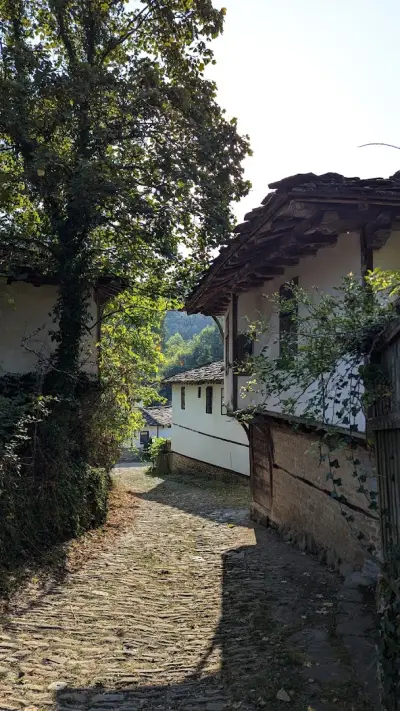 Guest house Maria Savekova 19 c.