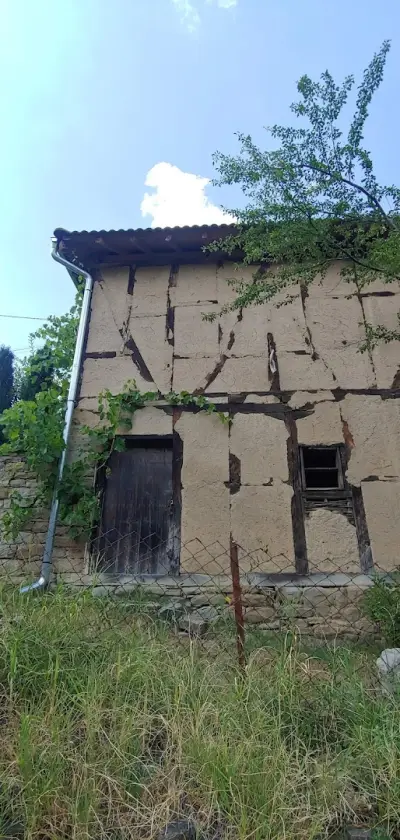 Трявна къща за гости Цвети