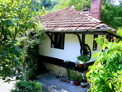 House Maya
