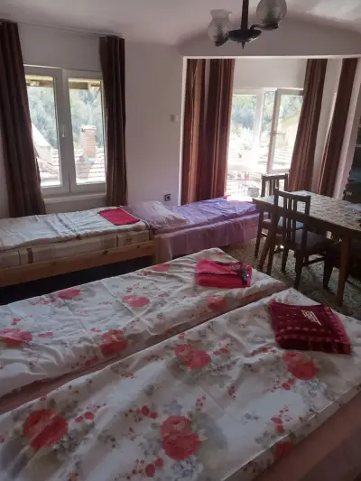 Mercury Guest House