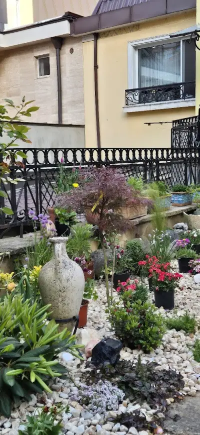 Luxury Apartment with Garden in City Center