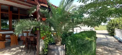 Мотел Чолакис