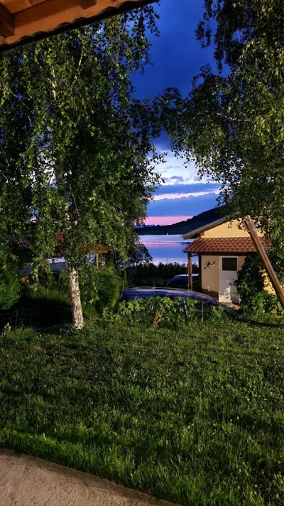 Вили “Петя”