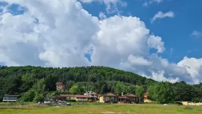Вили “Петя”