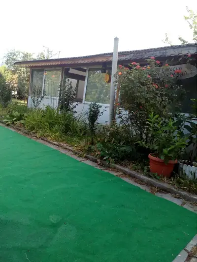 Jurassic Park Guest House