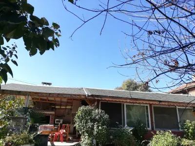 Jurassic Park Guest House