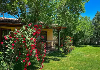 Exotic Guest House