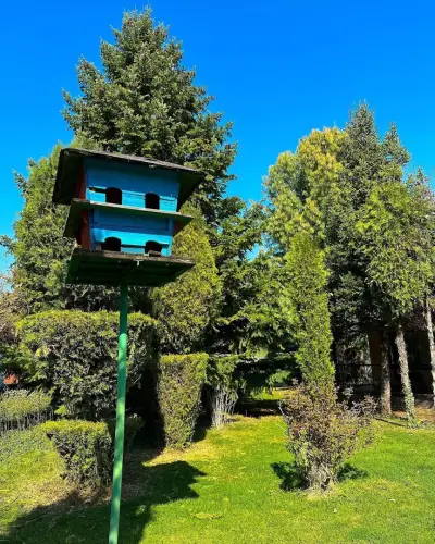 Exotic Guest House