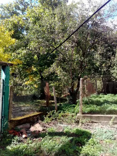 Къща за гости Торлакъ