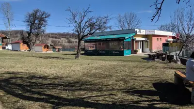 Елата