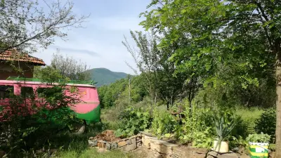 Vegetarium Guest Home