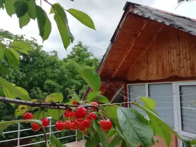 Къщата с трите веранди
