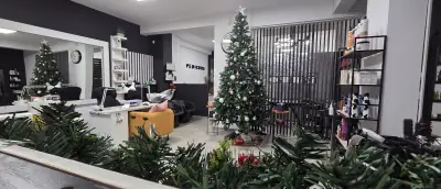 СТУДИО НЕНТЕ