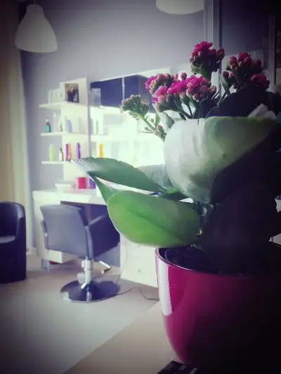Beauty salon MARI