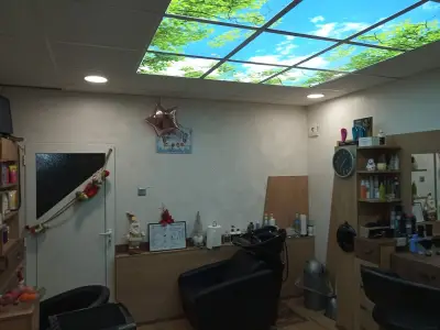 Студио Лики