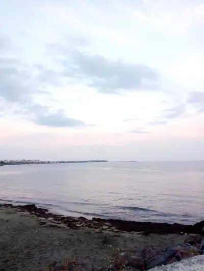 Фризьорски салон ,,Дария,,