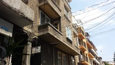 Динита Турс